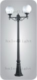 Globle Shape 2X10W Two Arms LED Garden Light (HXGA0102)