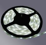 LED Strip Light--60LEDS/M SMD5050 72W