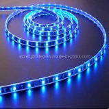 LED Ribbon Strip Flex Light (EL-AS5050B60)