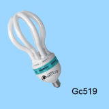 Energy Saving Lamp (Gc519)