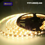 Silicon Gel LED Strip Light (SMD5050 48LED/M IP67)