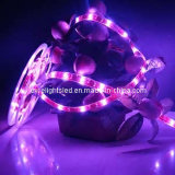 Purple LED Strip Light (EL-TS5050PI60)