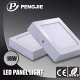 Indoor LED Light LED Panel Light with CE Ceiling Light