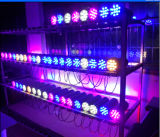 Multi Color LED up Down Light