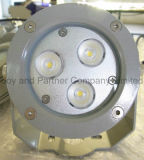 Professional Manufacturer Brightness LED Garden Light (JP832036)