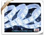 IP67 LED Strip Light (FD-LR5050XP60T-S) with CE, RoHS Approved