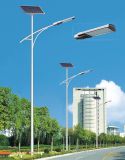 5 Years Warranty CE Approved Solar Street Light 30W-180W
