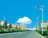60W LED Solar Outdoor Light Economic Design