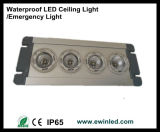 Waterproof LED Ceiling Light/Emergency Light