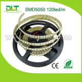 Super Bright LED Strip SMD5050 120LED/M, 24V Strip Light 600LEDs