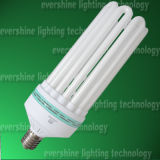 8ucompact Fluorescent Lamp