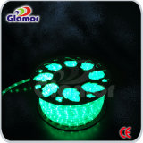 SAA LED Rope Light for Outdoor Use