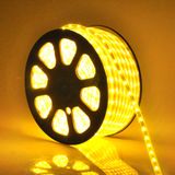 LED SMD 230V 110V LED Lights LED Strip