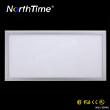 20W Environmental Protection LED Panel Light (Good Price/High Quality) 3060