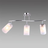 New Hot Product Ceiling Light Fixture