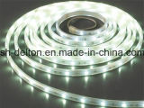 Waterproof SMD2835 8mm CE Approved Flexible LED Strip Light