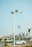 Solar Street Light (LED) (SLD-SL-1022)