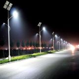 Professional Competitive Solar LED Street Light