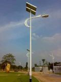 7m 40W LED Outdoor Street Lighting Solutions for Solar Energy