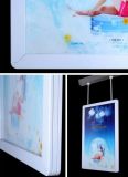 Window Display Multi-Window Acrylic Super Slim LED Light Boxes (LB-30)