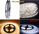 Super Bright Home & Showcase Light 5630 SMD LED Strip Light Non-Waterproof Warm White Cold White with 6A Adapter Special