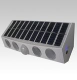 Solar LED Light