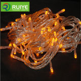 12V Christmas LED Light for Indoor and Outdoor Decoration