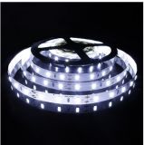 High Quality 5050 Double Row 240LEDs/M IP65 Outdoor Wateproof Cutable LED Strip Light