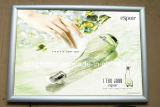 Wall Mounted LED Aluminum Light Box for Advertising