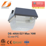 Outdoor Wall Lighting 30W LED Ceiling Light (ds-405)
