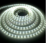 IP20 CE and RoHS Approved LED Strip (FG-LS60S5050NW)