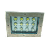 LED Underground Light/LED Outdoor Light (FPS-DMD06-12w)