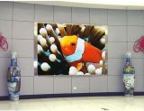 Indoor Full Color LED Display/P5 Full Color LED Display