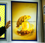 Acrylic Product Advertising Poster Display LED Light Boxes with Magnetic