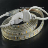 CE, RoHS Hv SMD3528 LED Strip Light IP68 6W/M