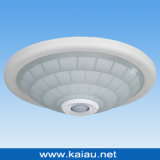 LED Ceiling Light (KA-C-302G)