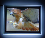 Crystal Wall-Mounted LED Light Box (CSW-P3100914-1)