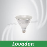 10W LED PAR Light (LWSP38-RGB03)