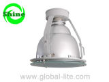 (DL-6102) Induction Lamp Down Lighting