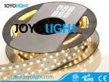 New! ! ! SMD LED Strip 5050 280LEDs/M Tape Light
