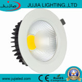 CE RoHS Approved COB 20W LED Down Light Manufacturer