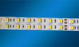 High Quality DC12V LED Strip/ LED Strip Light