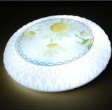 2015 New Product Qf-Zs Housing LED Ceiling Light