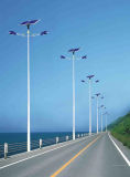 Double Lights Solar Light for Stree 100wt, Main Road