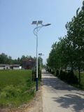 7m 40W Outdoor Lighting Street Light Solutions