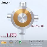 LED Wall Lighting (ZD-Q0923)