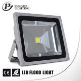 Outdoor IP65 30W LED Flood Light with CE Certification
