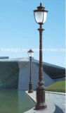 Popular Single Head Garden Light (HXGH3101)