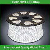 5050 220V Flexible LED Strip Lights