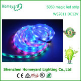 White PCB Magic LED Strip Light Ws2811 SMD 5050 LED Strip